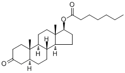 Androstanolone heptanoate说明书