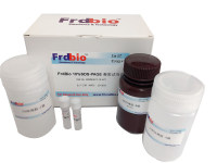 SDS-PAGE凝胶配制试剂盒