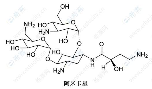 执业西药师考试高频知识点:阿米卡星