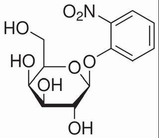 邻硝基*苯-β-D-吡喃半乳糖苷