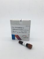 溶酶体绿色荧光探针LysoGreen