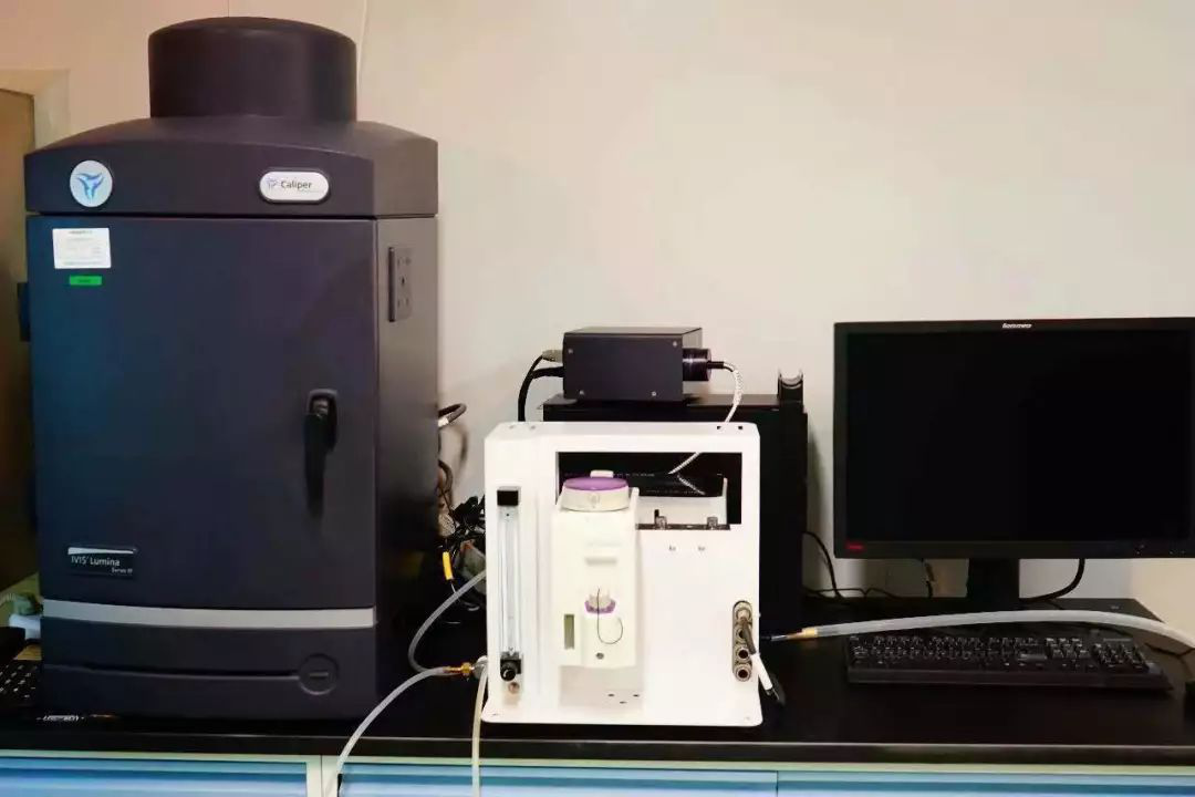 赛赋医药研究院与珀金埃尔默新药评价协同创新中心完成多例 CAR-T 实体瘤治疗评价