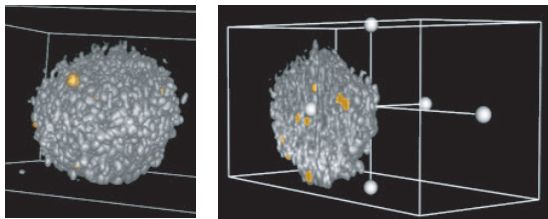 高内涵—3D 微组织球三维体积与分区分析