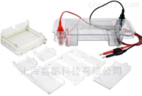 上海嘉鹏多功能水平电泳槽 KEEBIO-HE120