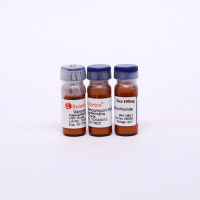 Vancomycin 盐酸万古霉素