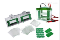 上海嘉鹏微型垂直电泳槽 KEEBIO-VE180