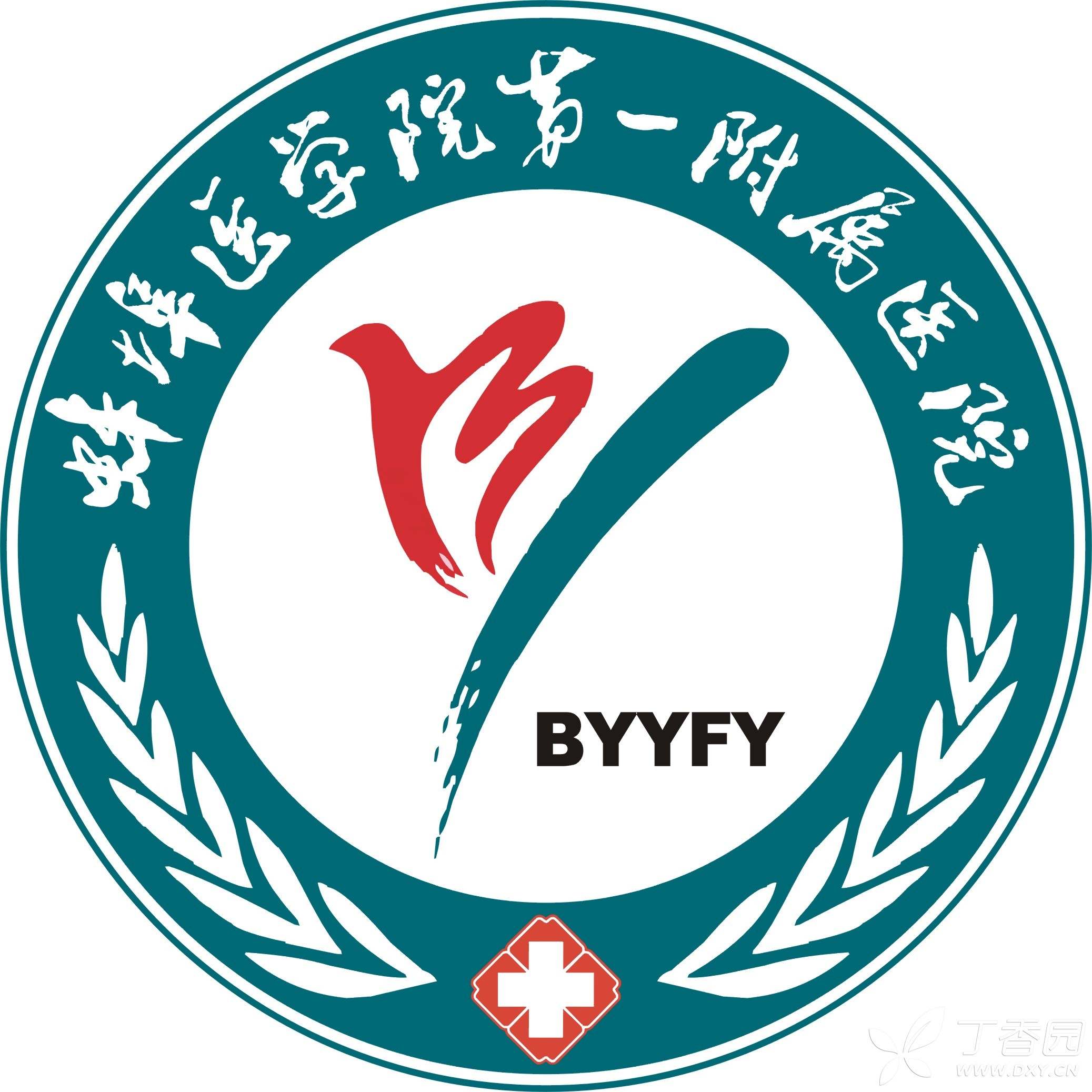 你们医院的院徽长什么样?