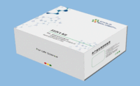 人 二氢嘧啶脱氢酶(DPYD)ELISA检测试剂盒
