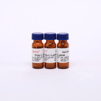 Poly-L-Lysine 多聚-L-赖氨酸(15-30万)