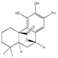 5957-80-2鼠尾草酚价格