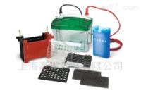 上海嘉鹏转移电泳槽 KEEBIO-VE186