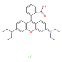 81-88-9罗丹明b说明书