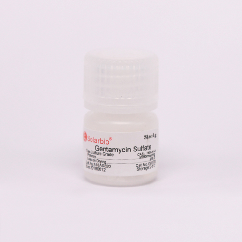 Gentamycin Sulfate 硫酸庆大霉素
