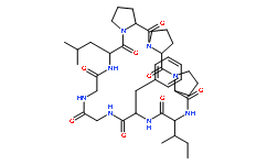 太子参环肽B145459-19-4厂家