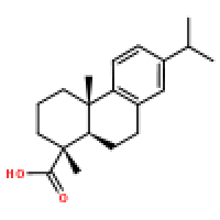 去氢松香酸1740-19-8价格