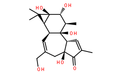 4alpha-佛波醇26241-63-4价格