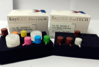 BAR基因核酸检测试剂盒（恒温荧光法）