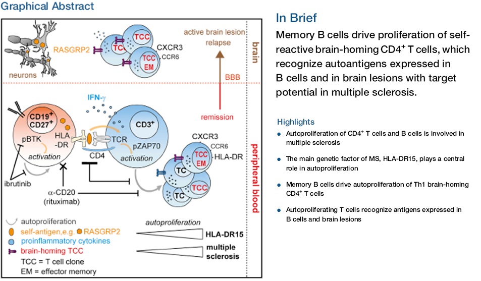 AID助力科学家在Cell上发表荧光ELISPOT（FluoroSpot）文章