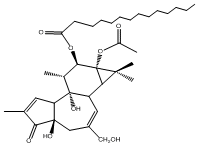 伏波醇-12-十四烷酸酯-13-乙酸酯16561-29-8图片