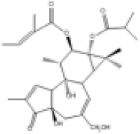 伏波酯-12-惕各酸酯-13-异丁酸酯92214-54-5说明书