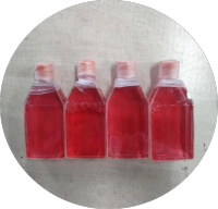 HCC70 |HCC70细胞|HCC-70|HCC-70细胞|HCC-70人乳腺导管癌细胞/STR鉴定