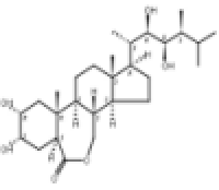 芸苔素内酯、油菜素内酯72962-43-7说明书
