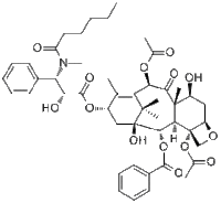 N-Methyltaxol C哪家好