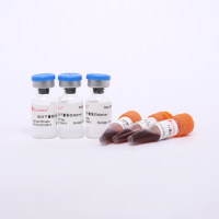 低分子量蛋白质Marker