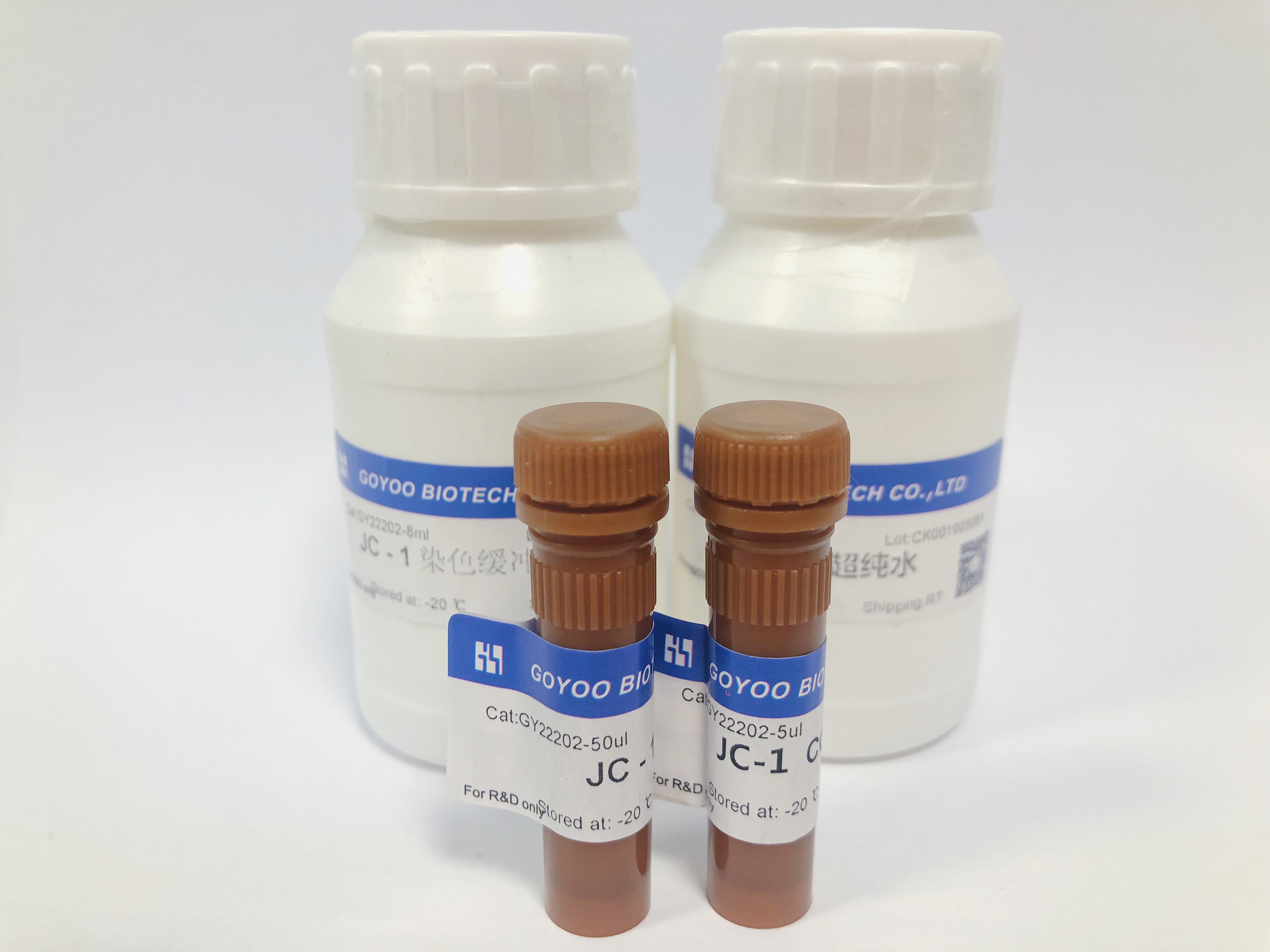 线粒体膜电位检 测试剂盒(JC-1)