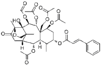 Taxezopidine L哪家好