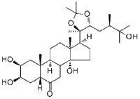 Makisterone A 20,22-monoacetonide说明书