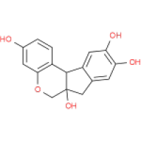 474-07-7巴西苏木素价格