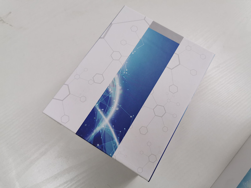 牛胰岛素受体底物1ELISA检测试剂盒