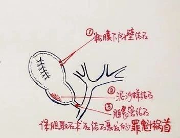 3375430131006369436-8w.jpg