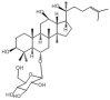 (R型)人参皂苷Rh180952-71-2图片