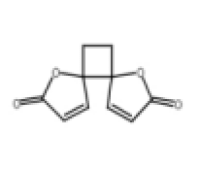 90921-11-2白头翁素规格