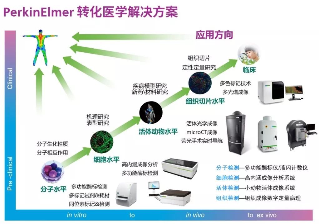转化医学系列 | BRD4和ALKBH5的活性测定方法建立及其抑制剂的发现
