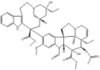 57-22-7长春新碱说明书