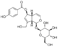 6-O-p-Hydroxybenzoylaucubin说明书