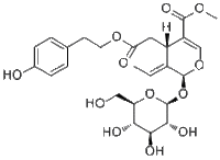 Ligustroside哪家好