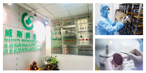 威斯腾生物应邀参加2019第二届上海国际癌症大会