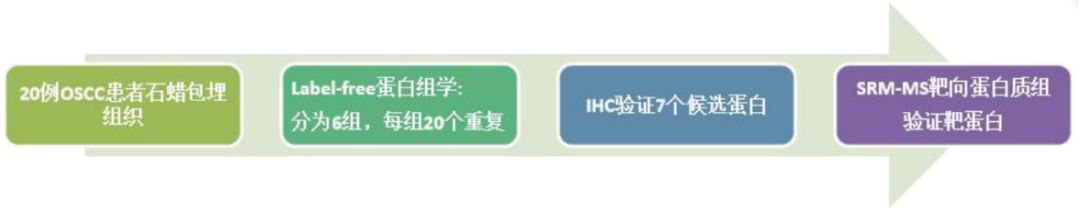 蛋白组学技术路线