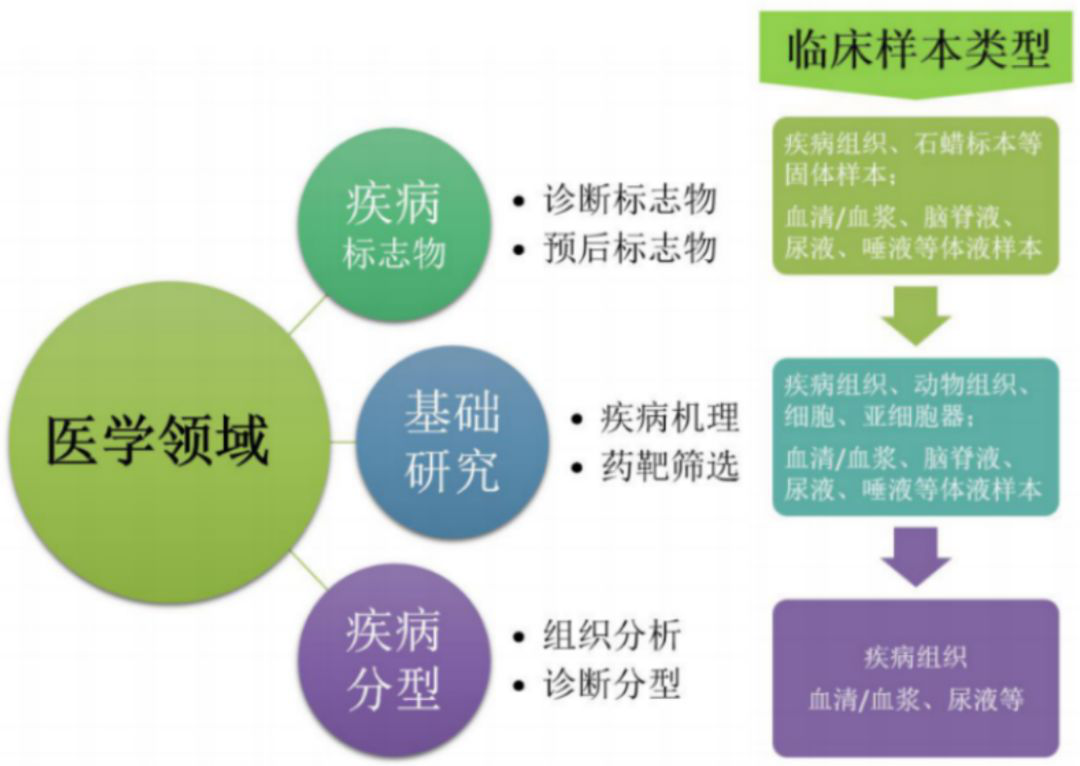 蛋白组学应用方向