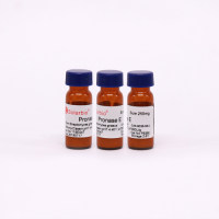 Pronase E 链霉蛋白酶 E