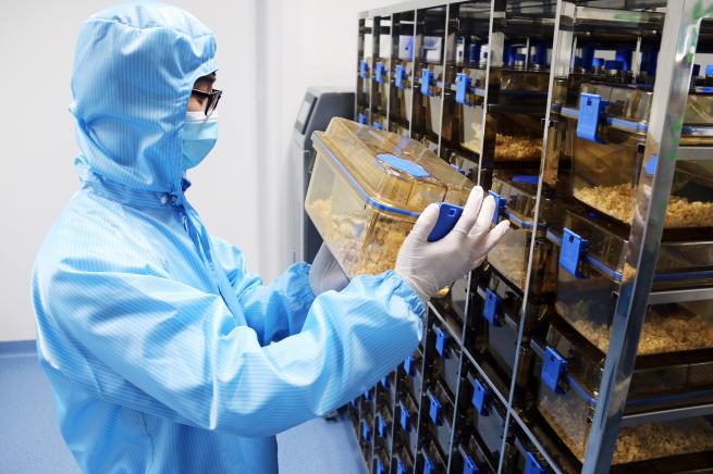 祝贺威斯腾生物在第八届中国创新创业大赛全国总决赛中荣获成长组“优秀企业”表彰