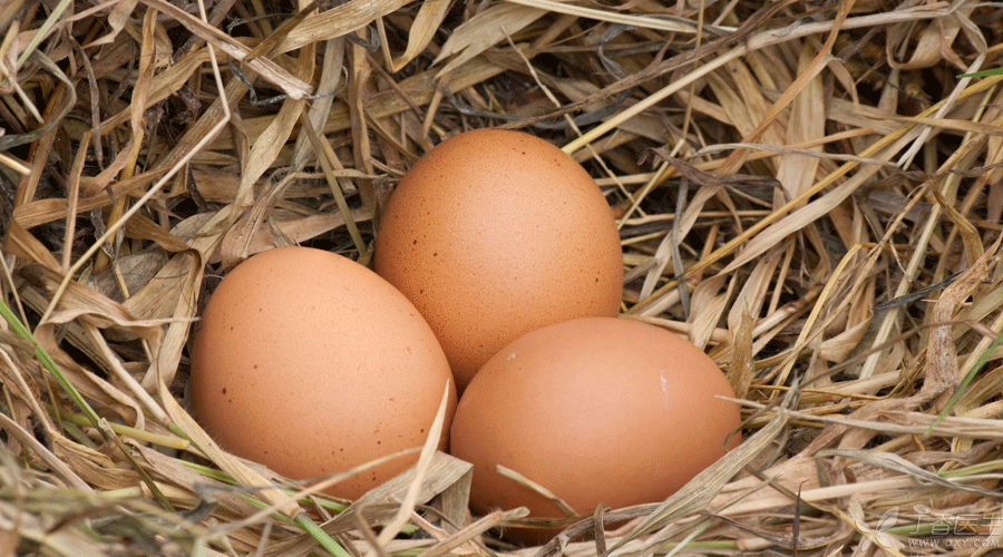 2dnzndza.png 2dnzndza.png