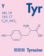 【技术分享】蛋白质紫外吸收与浓度测定