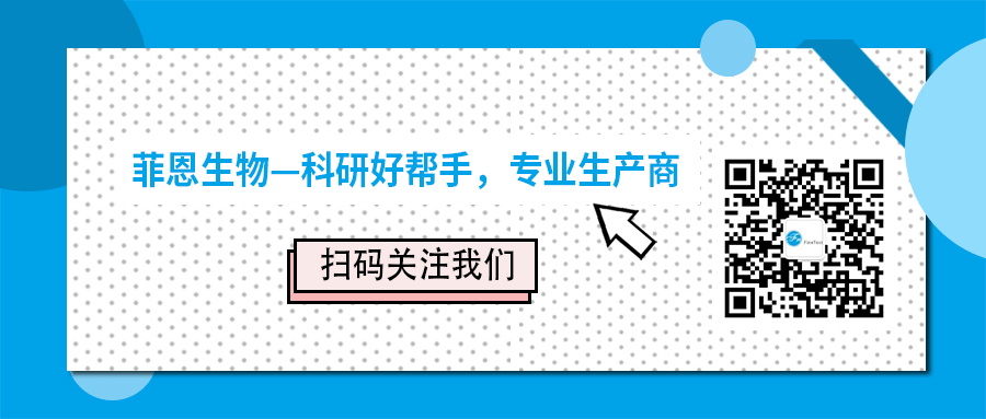 【技术分享】蛋白质紫外吸收与浓度测定