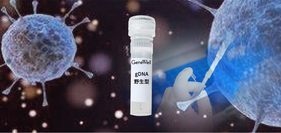 【产品升级】肿瘤SNV野生型gDNA标准品（GW-OGTM005）产品升级！