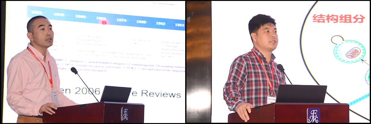 第五届LIPIDALL国际脂质代谢会议成功召开